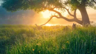 Top 10 Hidden Indian Places to Escape the Crowd 2025
