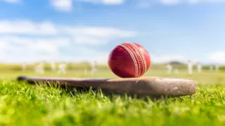 Top 10 Most Famous Cricketers in the World 2025