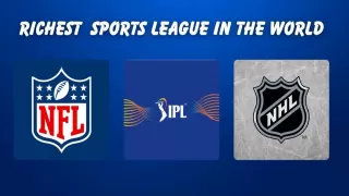 Top 10 Richest and Most Valuable Sports Leagues in the World