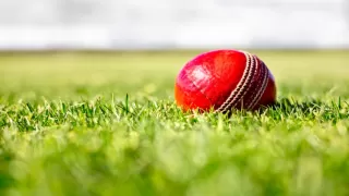 Top 5 Richest Women Cricketers in the World 2025