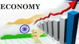 What is Dead Economy