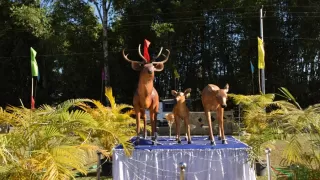 What Makes Sangai Festival 2025 So Special This Year?
