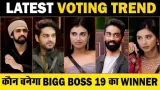 Who Will Win Bigg