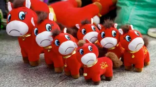 China viral toy: Why
