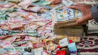 Frozen Assets: How many