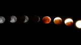 March 14, 2026 Panchang: