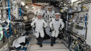 SpaceX Capsule Brings Sick Astronaut Home in Rare Nasa Evac