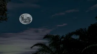 Today Panchang 27 January 2026: Shubh Muhurat & Rahu Kaal