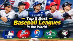 Top 5 Best Baseball Leagues Picture