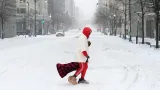 US Deep Freeze Claims