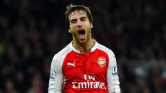 What Is Mathieu Flamini Net Picture