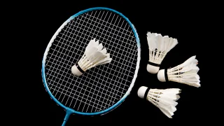 Who Are Top 5 Indian Badminton