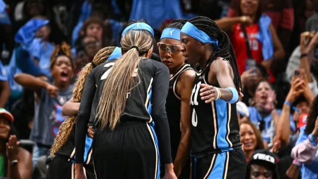 women's national basketball association (wnba)