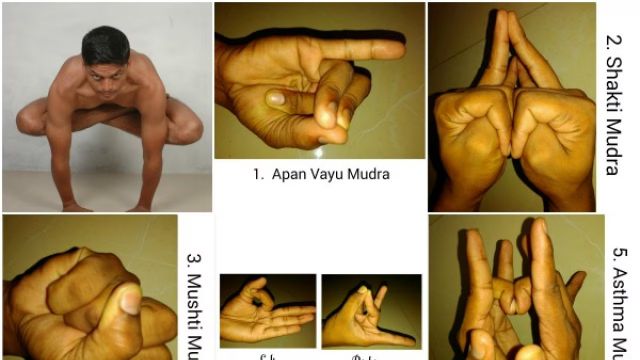 Mudras Picture