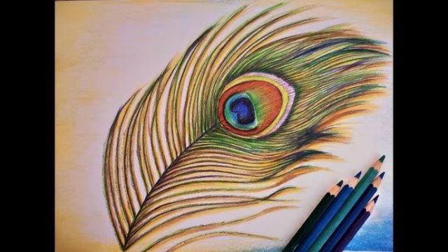 Mor Pankh (Peacock Feather) Drawing Picture