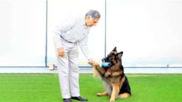 tito Picture