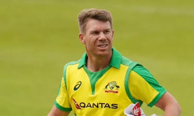 David Warner Picture