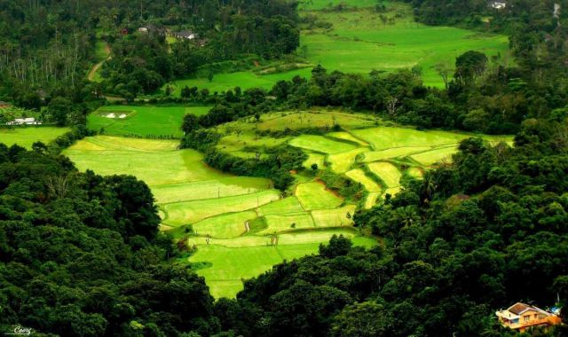Coorg, Karnataka Picture