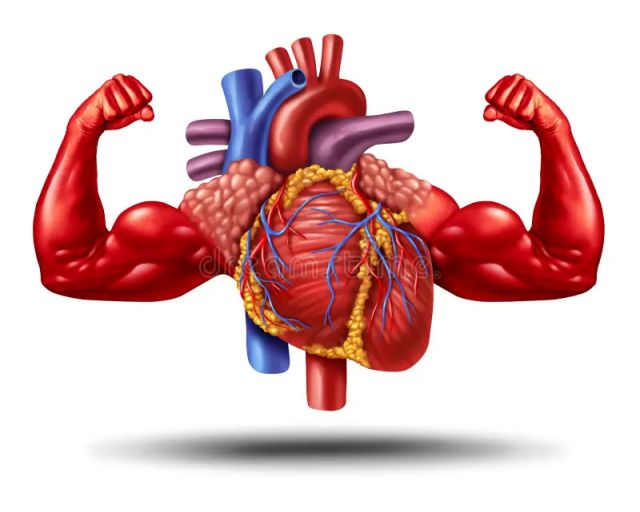 Healthy Heart Picture