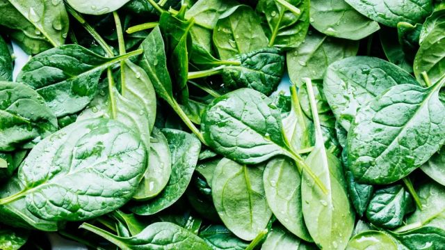 Spinach Picture