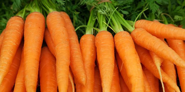 Carrots Picture