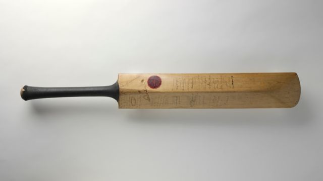 most expensive bat in the Picture