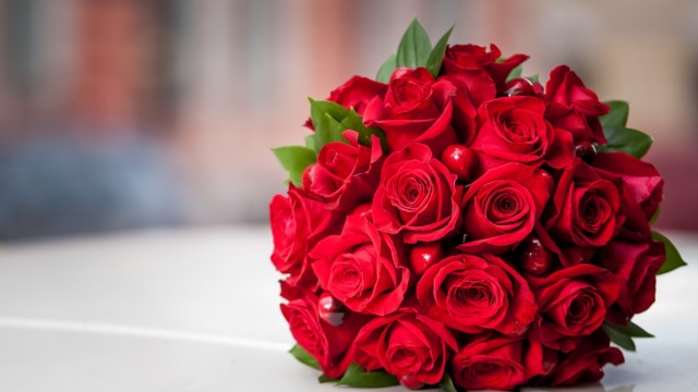 Rose Picture