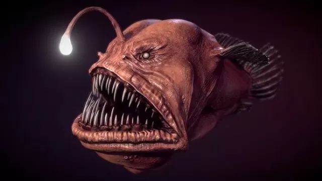 angler fish Picture