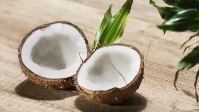 coconut Picture