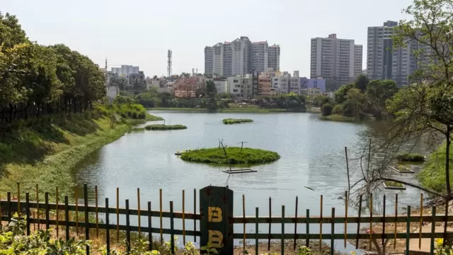 Puttenahalli Lake Picture