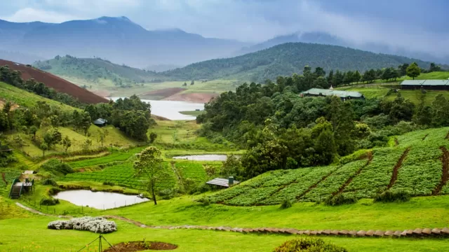 Ooty Picture