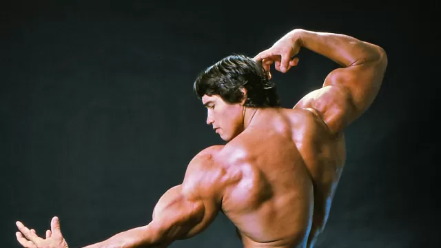Arnold Schwarzenegger Picture