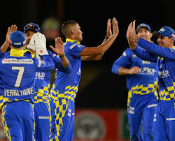 cape cobras Picture