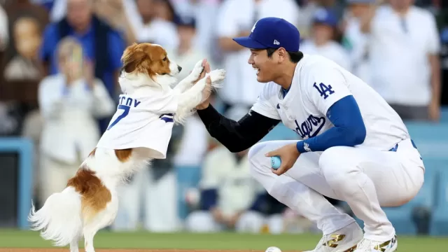 Shohei Ohtani Picture