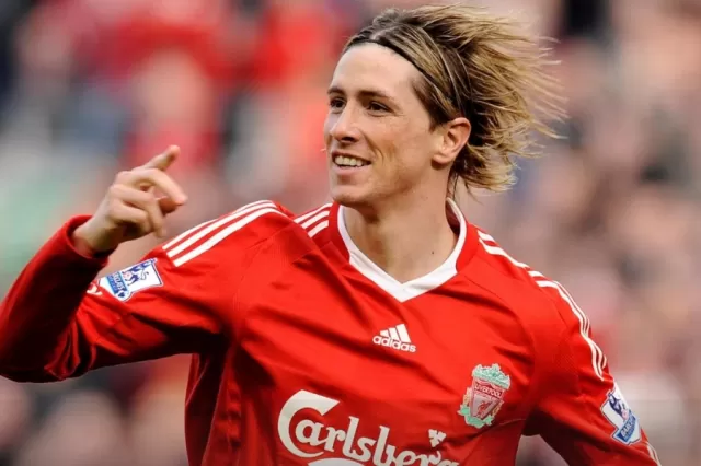 Fernando Torres Picture