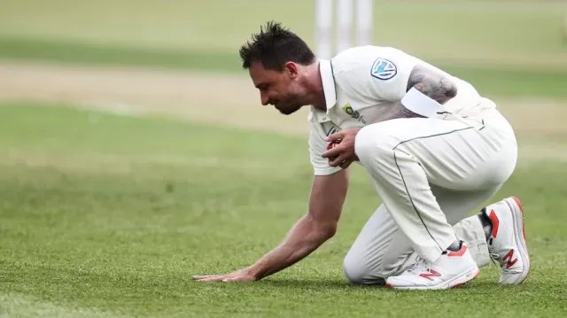 dale steyn test Picture