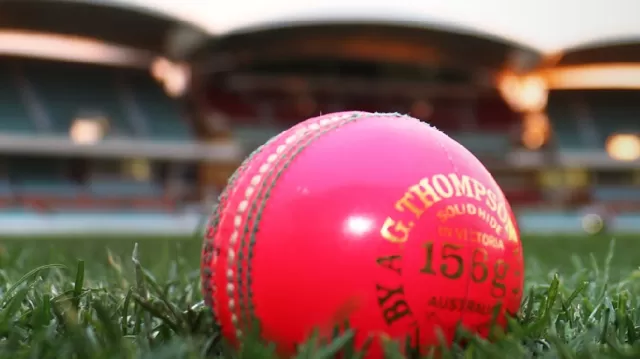 Pink ball Picture