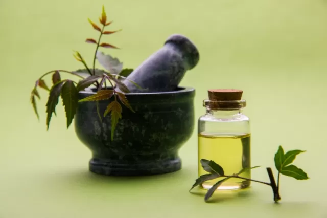 Infused Water with Ayurvedic Herbs Picture