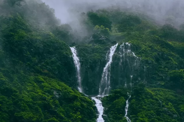 Tamhini Ghat, Maharashtra Picture
