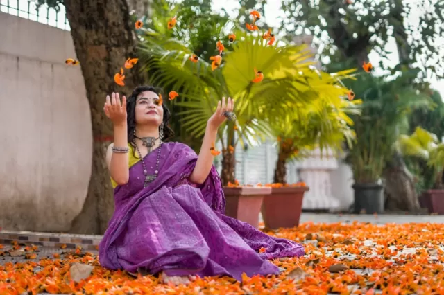 Cotton Saree Picture