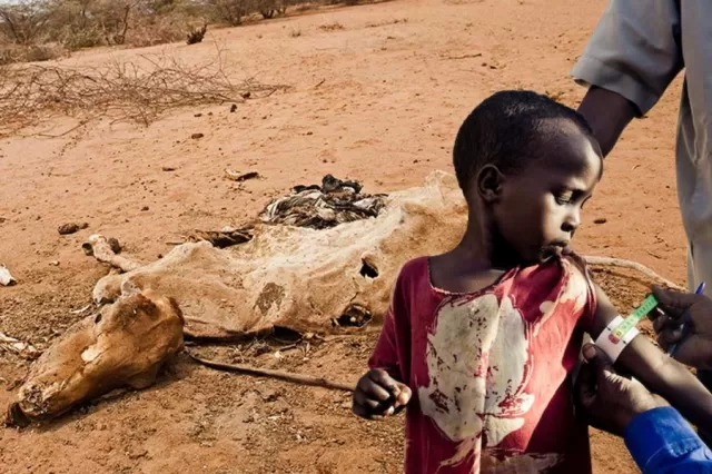Somalia Picture