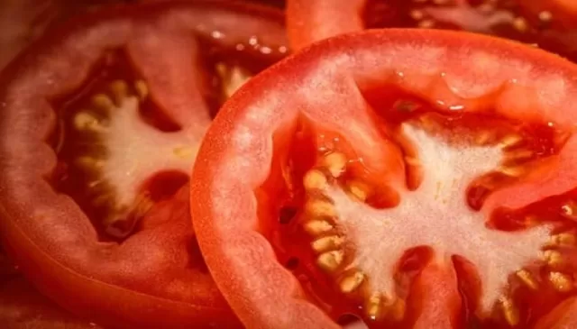 Canned Tomatoes Picture