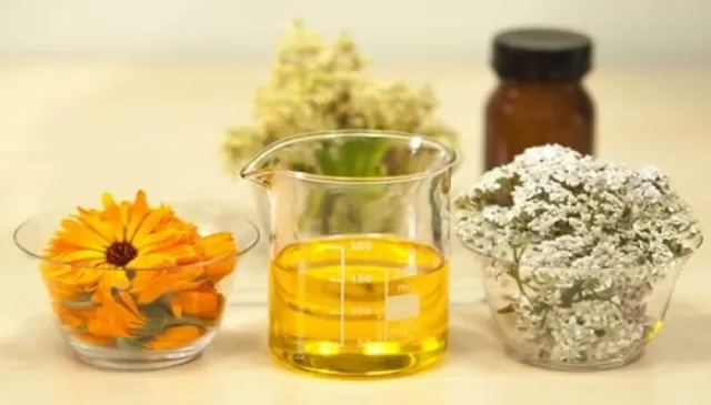 Vegetable Oil Picture
