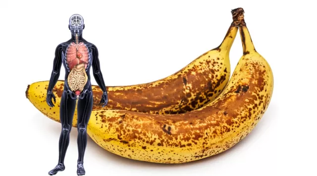 Normal Fruits Picture