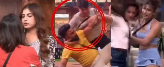 Bigg Boss 19	 Picture
