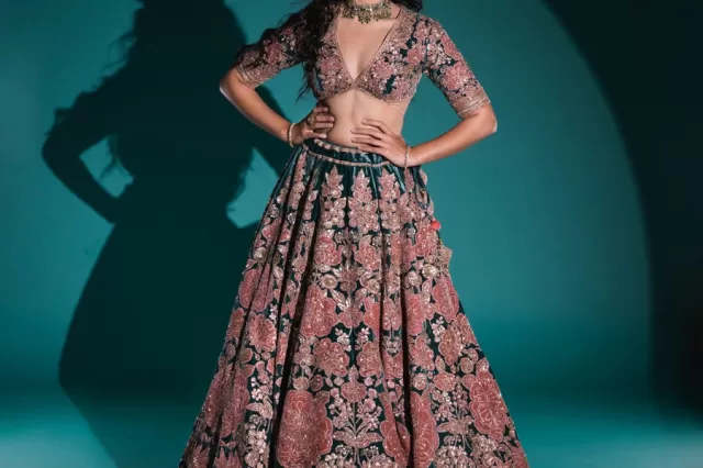 Indo-Western Lehengas Picture