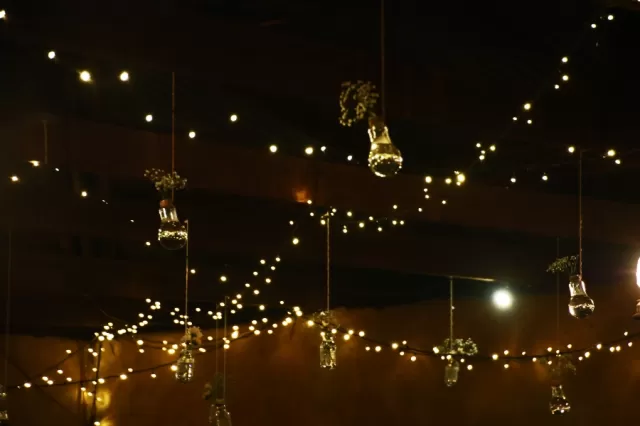 Fairy Lights Picture