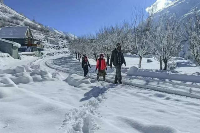 Sandakphu, West Bengal Picture