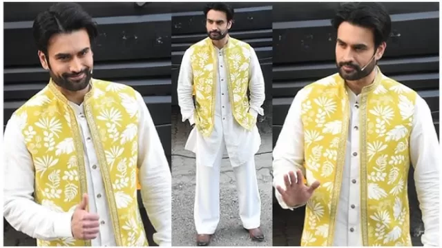 Vivian Dsena Picture