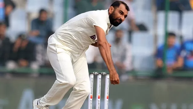 Shami  Picture